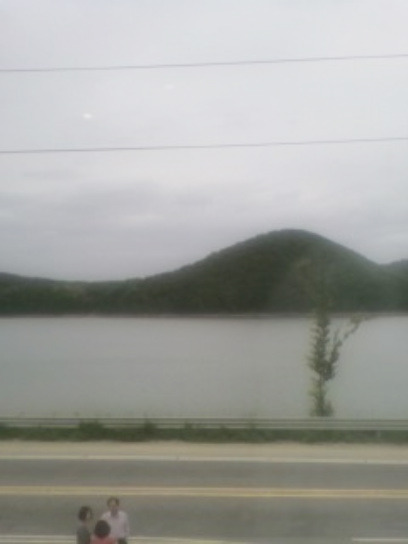 용인민물매운탕 이미지