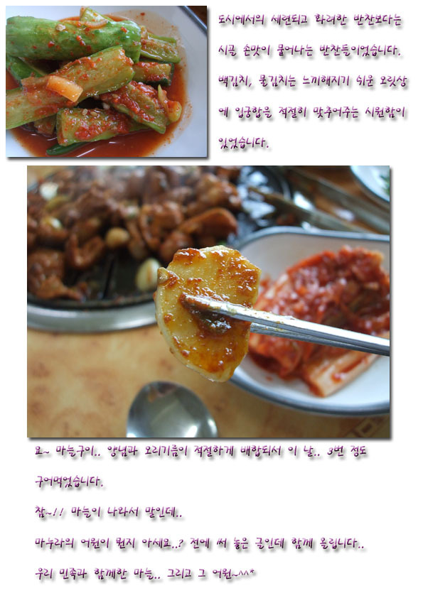 청풍오리 이미지