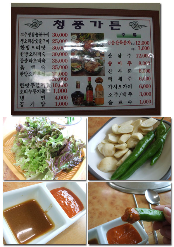 청풍오리 이미지