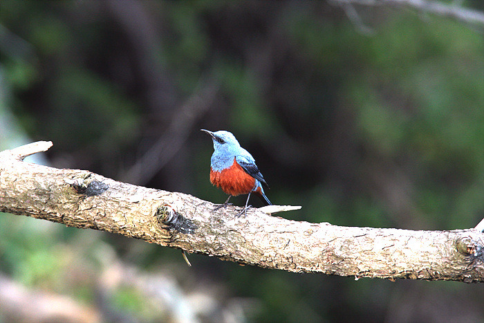 �̹����� Ŭ���ϸ� ������ ���� �� �ֽ��ϴ�.