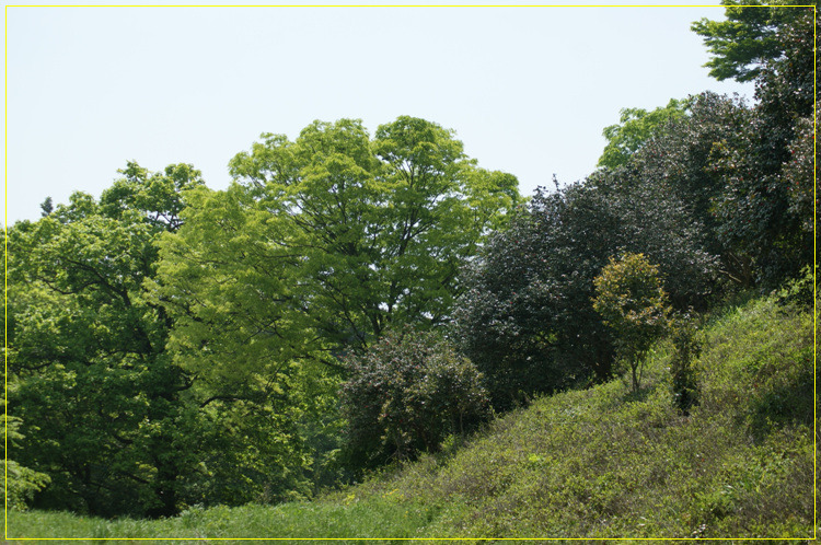 어린왕자의들꽃사랑마을은하별