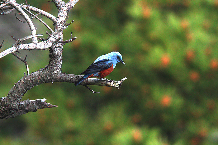 �̹����� Ŭ���ϸ� ������ ���� �� �ֽ��ϴ�.