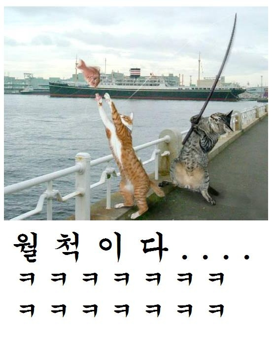 비치네 이미지
