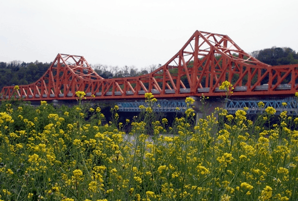 남지초등학교 이미지