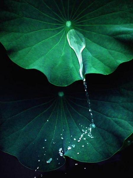 서라영 이미지