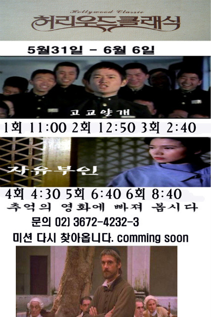 허리우드 이미지