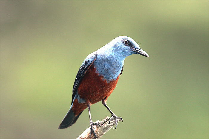 �̹����� Ŭ���ϸ� ������ ���� �� �ֽ��ϴ�.